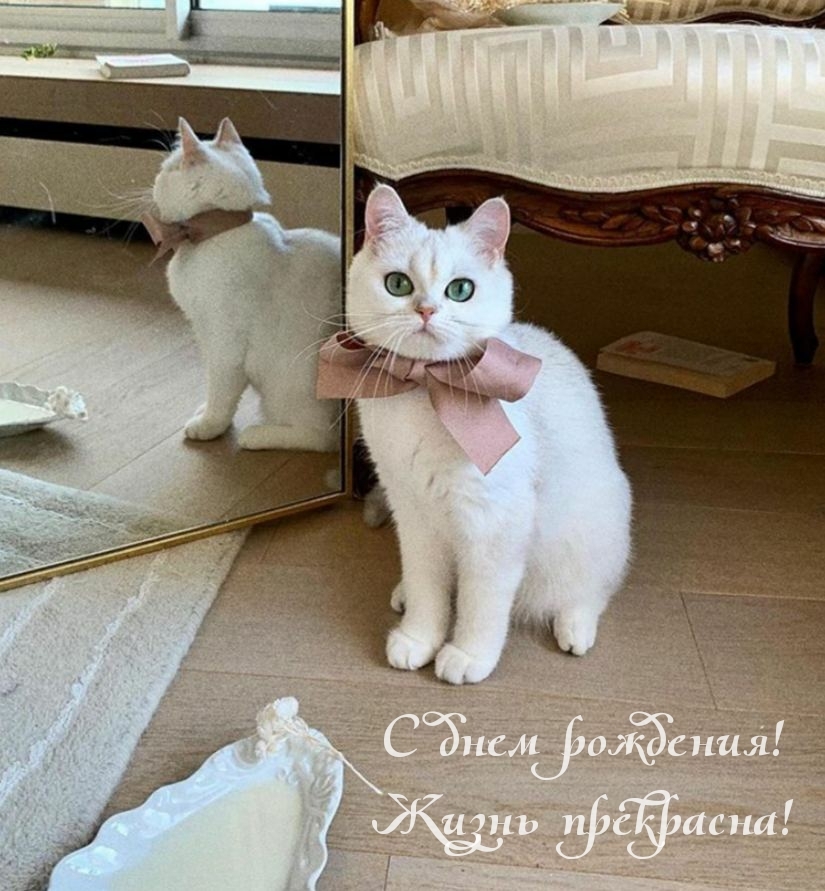 С днем рождения! Жизнь прекрасна!
