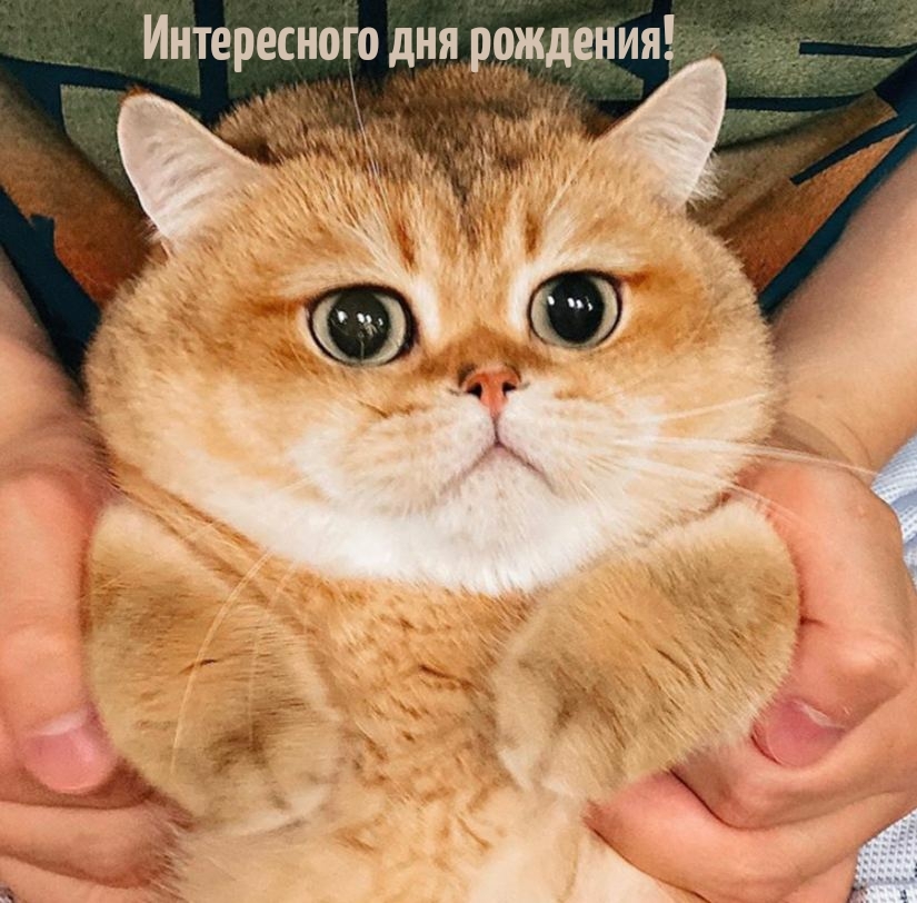 Интересного дня рождения! 