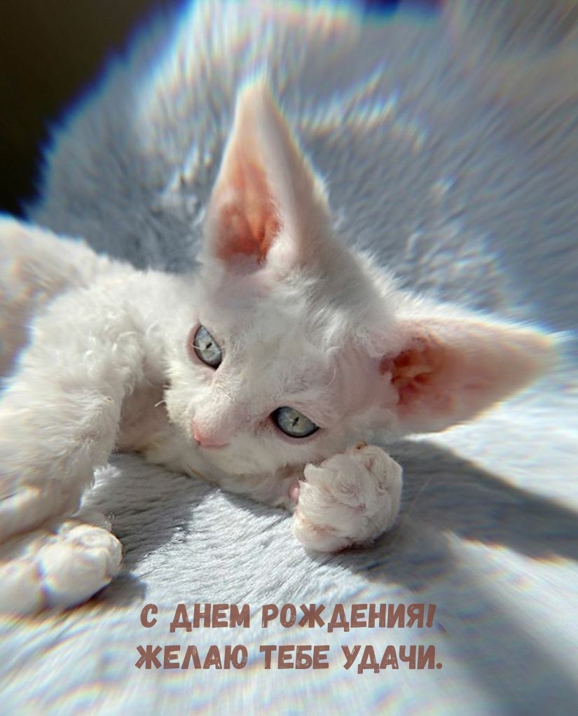 С днем рождения! Желаю тебе удачи!