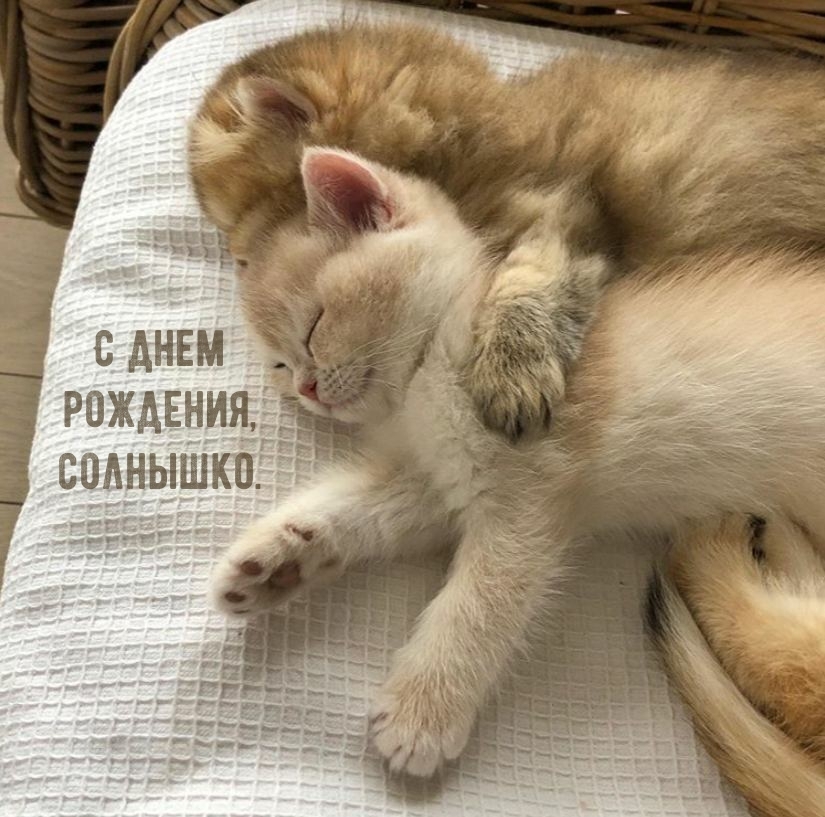 С днем рождения, солнышко.