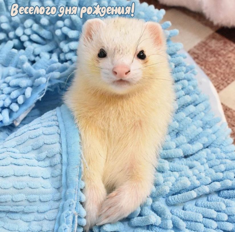 Веселого дня рождения! 