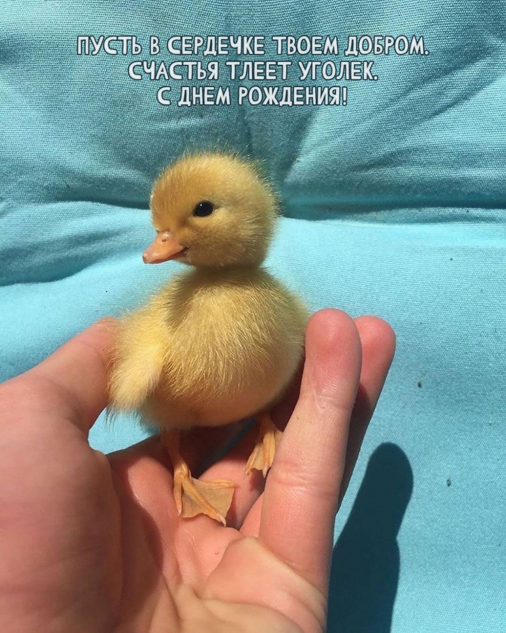 Пусть в сердечке твоем добром. Счастья тлеет уголек.