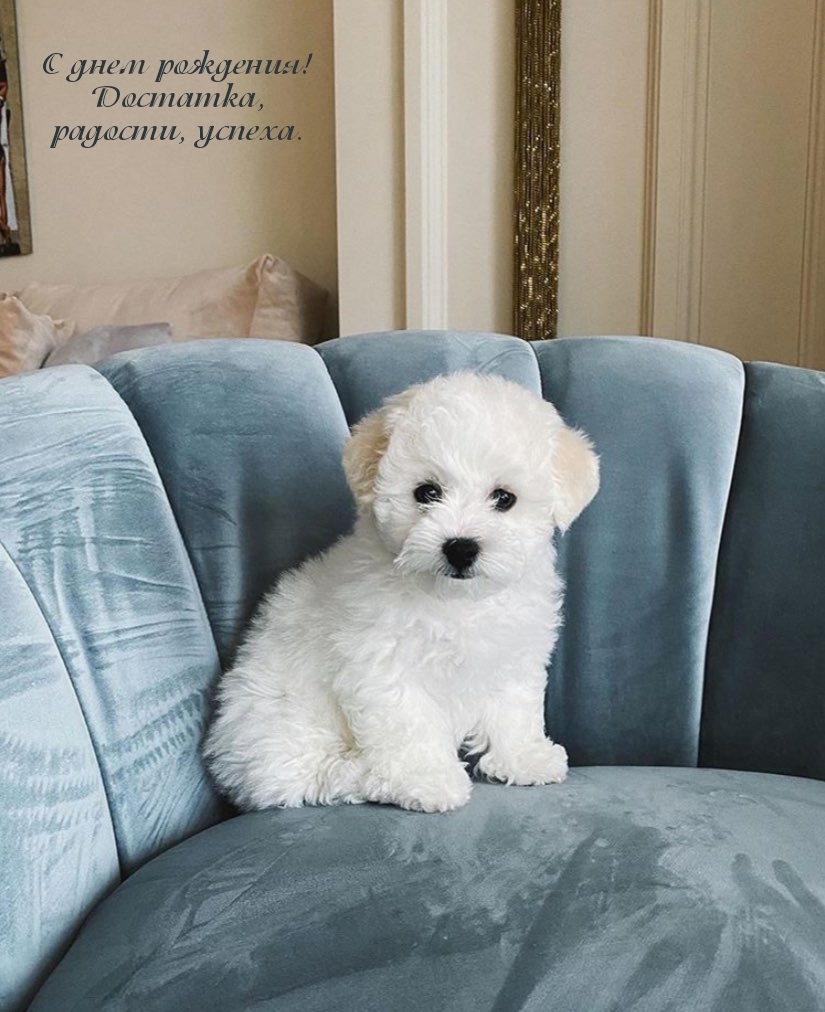 С днем рождения! Достатка, радости, успеха.