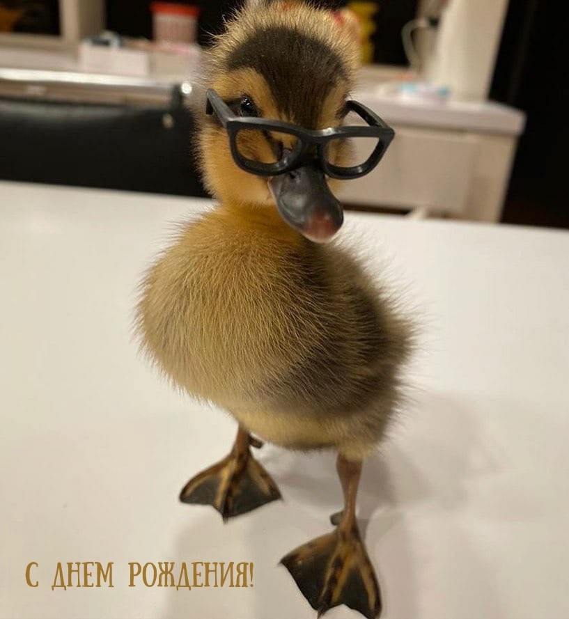 С днем рождения!