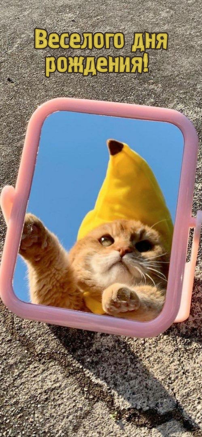 Веселого дня рождения! 