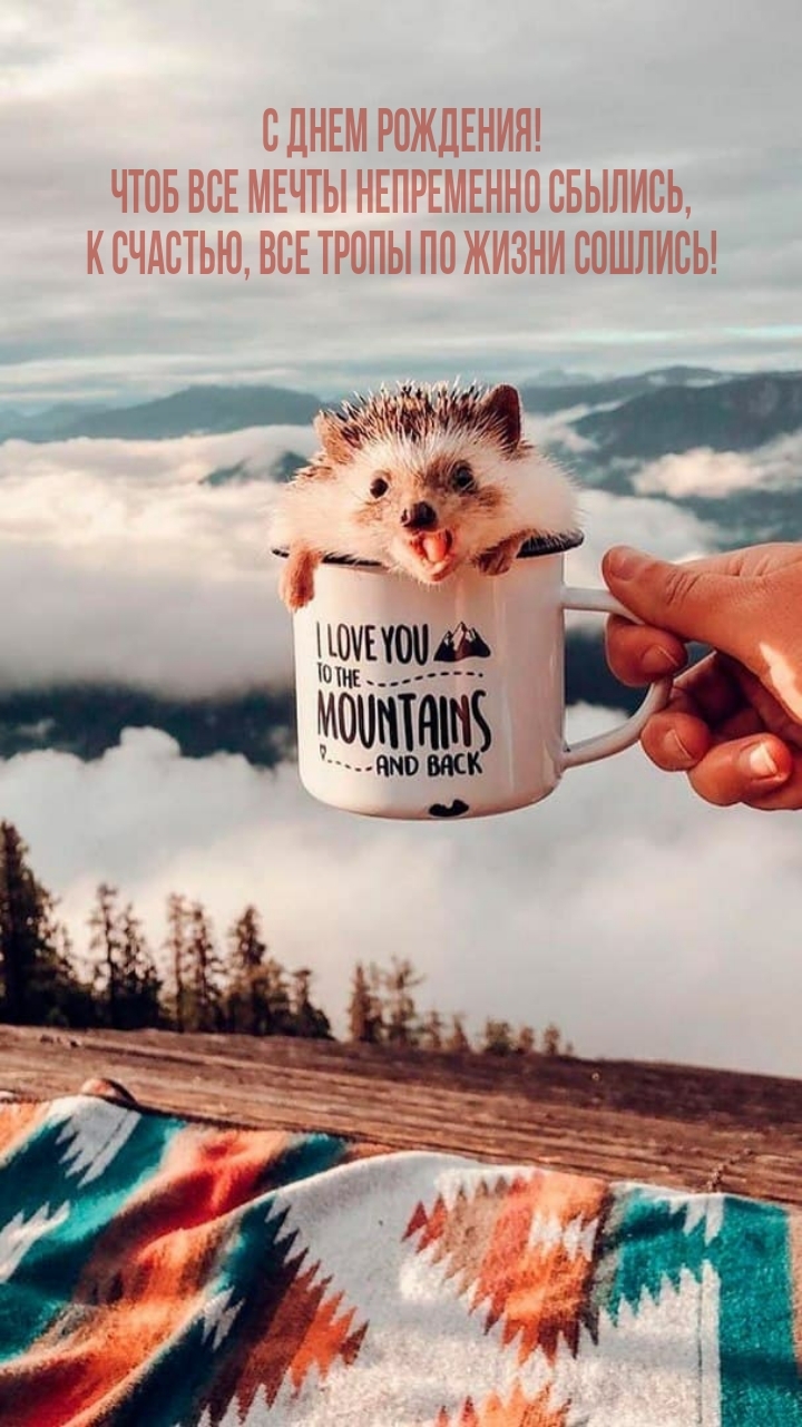 Чтоб все мечты непременно сбылись