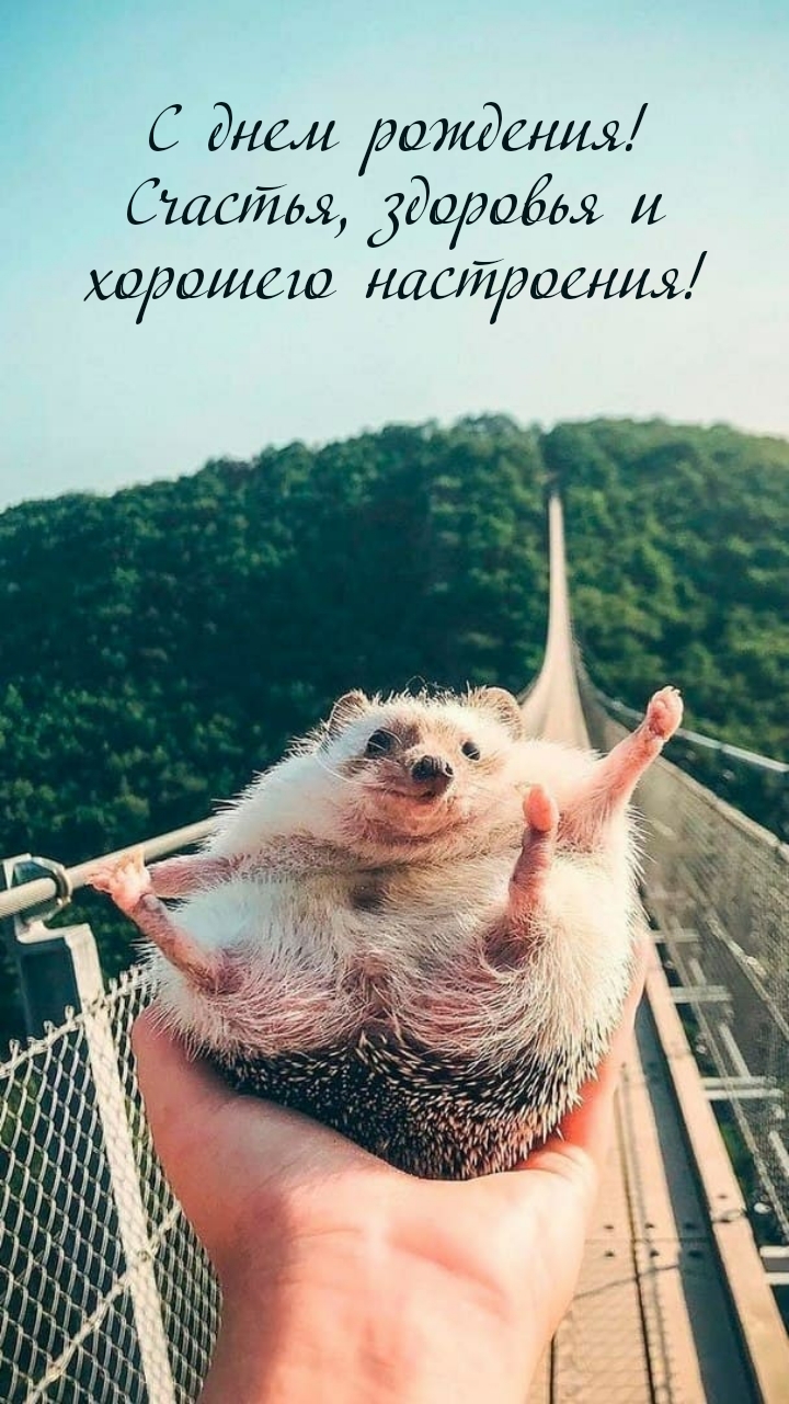 С днем рождения! Счастья, здоровья и хорошего настроения!