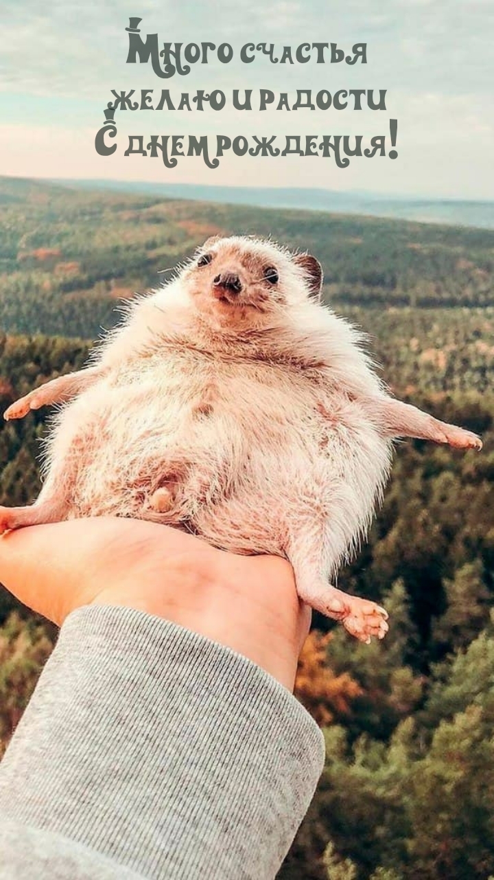 Много счастья желаю и радости С днем рождения!