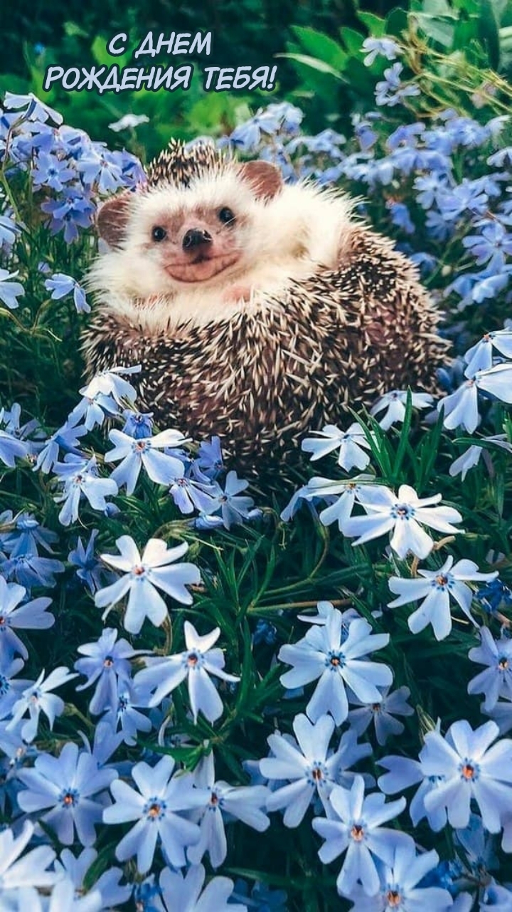 С днем рождения тебя!