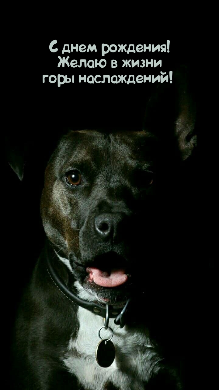 С днем рождения! Желаю в жизни горы наслаждений! 