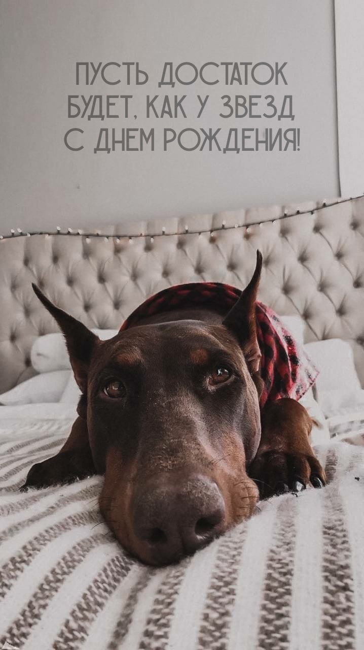 Пусть достаток будет, как у звезд С днем рождения!           