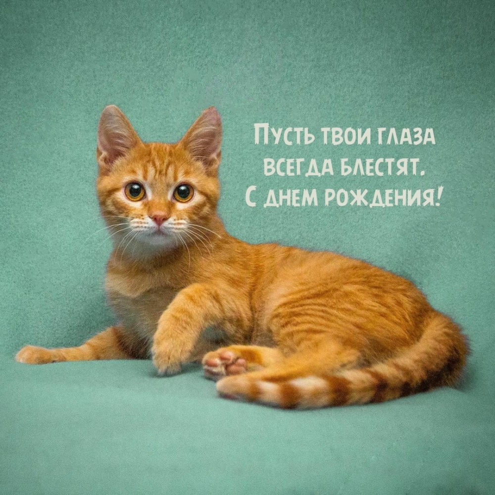 Пусть твои глаза всегда блестят. С днем рождения!