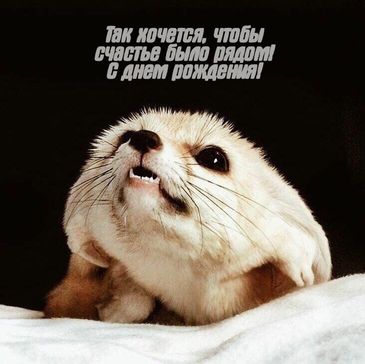 Так хочется, чтобы счастье было рядом! С днем рождения!