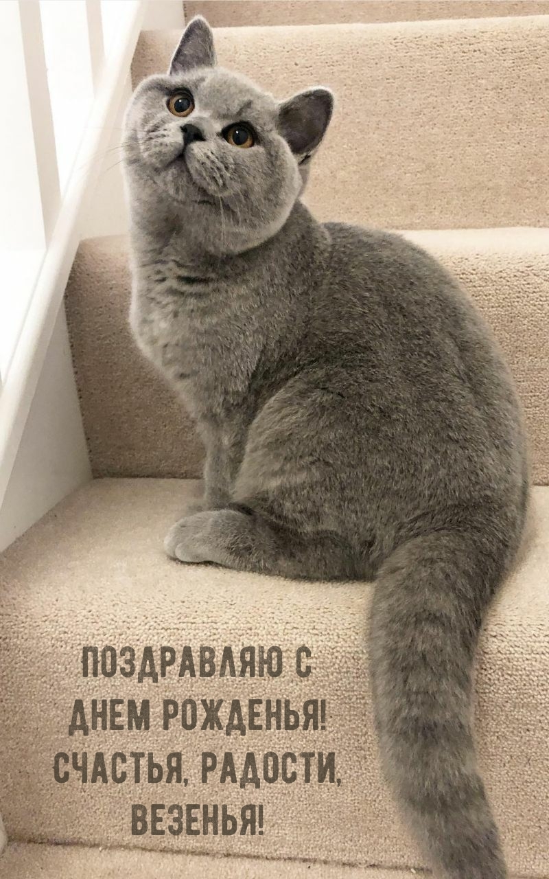 С днем рожденья! Счастья, радости, везенья!