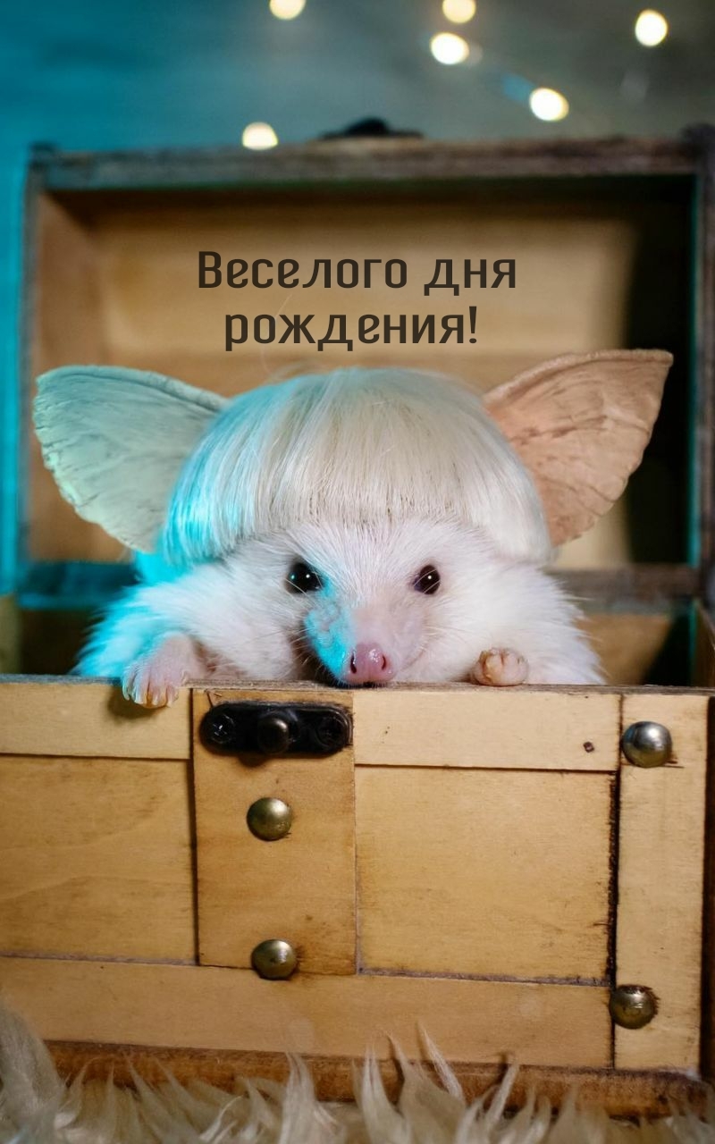 Веселого дня рождения! 