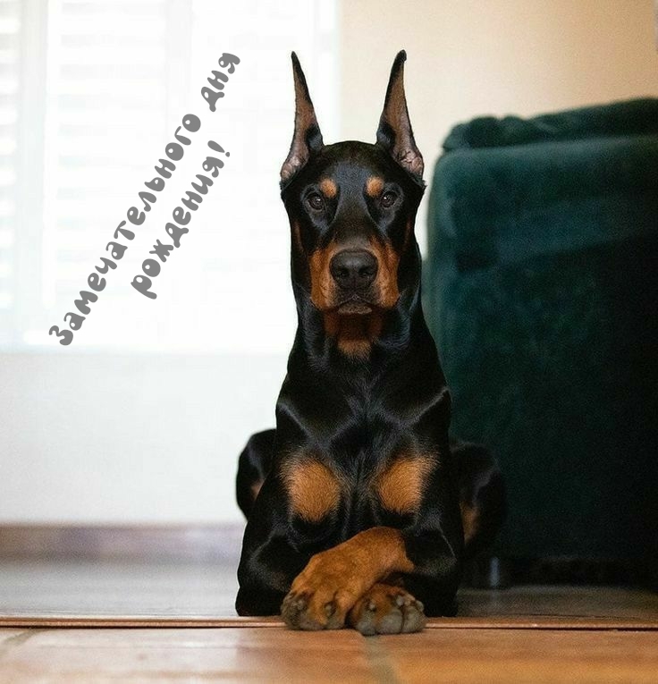 Замечательного дня рождения!