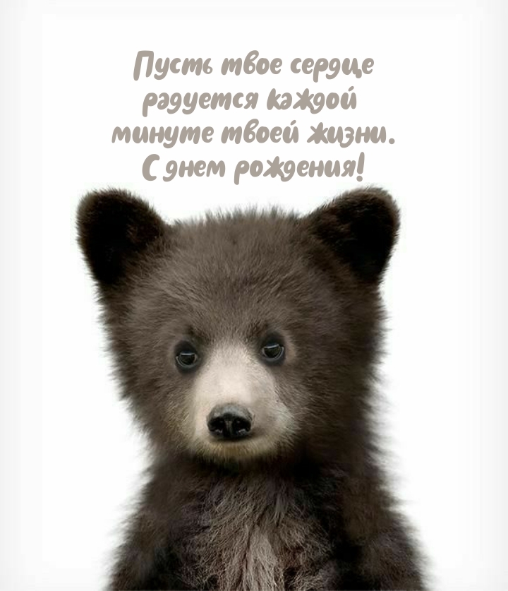 Пусть твое сердце радуется каждой минуте твоей жизни.