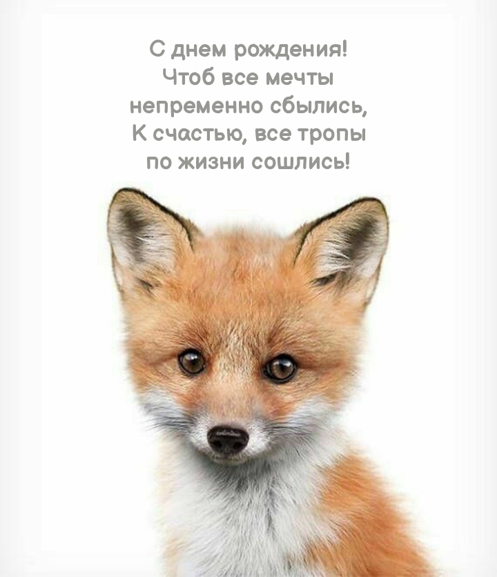 С днем рождения! Чтоб все мечты непременно сбылись