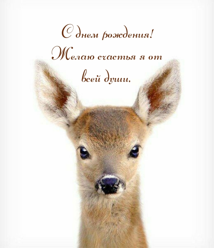 С днем рождения! Желаю счастья я от всей души.