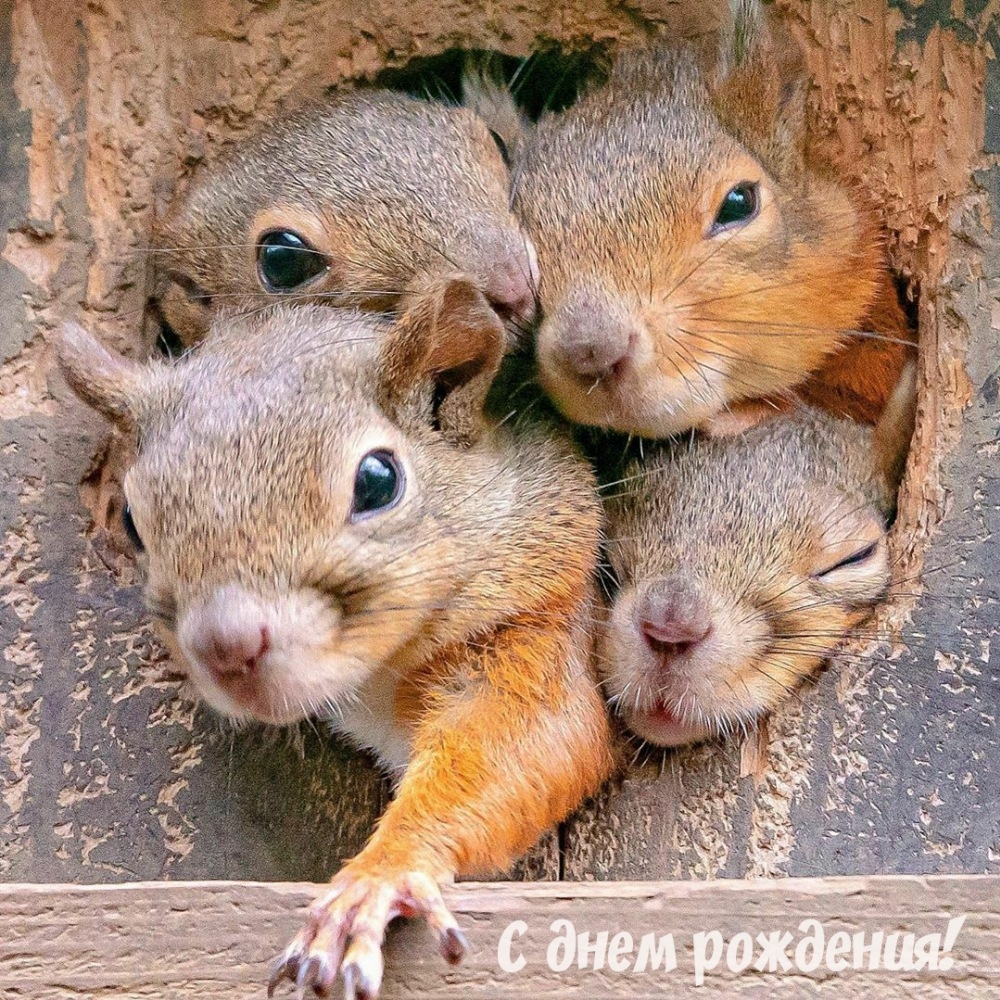 С днем рождения!