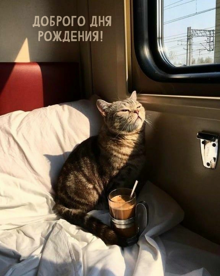 Доброго дня рождения! 