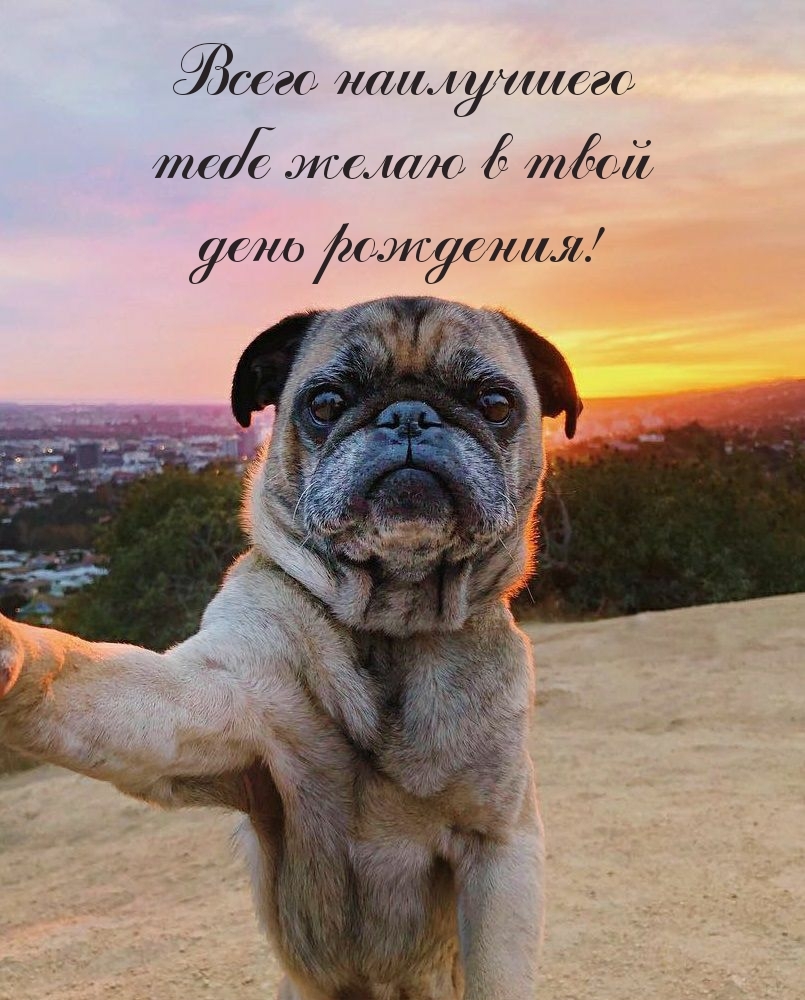 Всего наилучшего тебе желаю в твой день рождения!