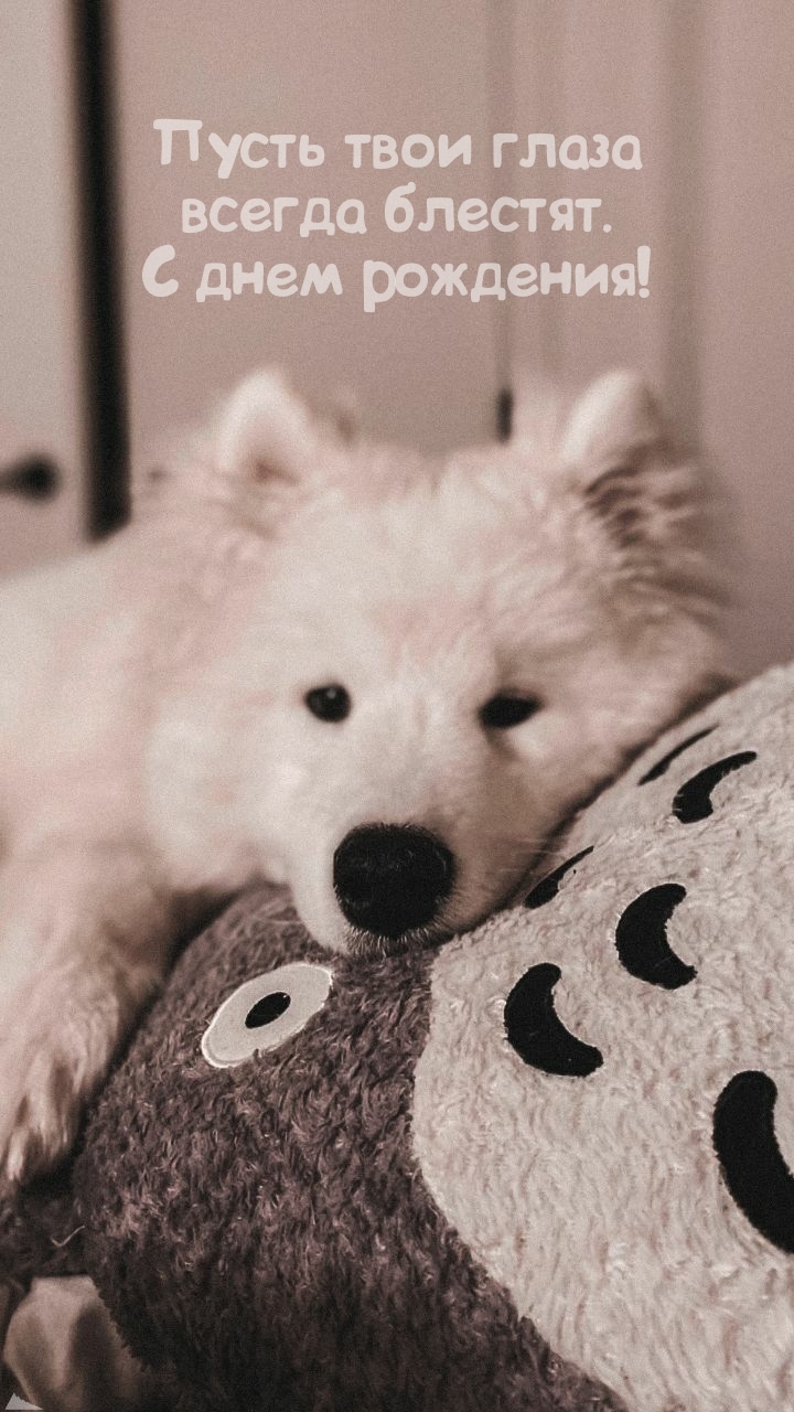 Пусть твои глаза всегда блестят. С днем рождения!