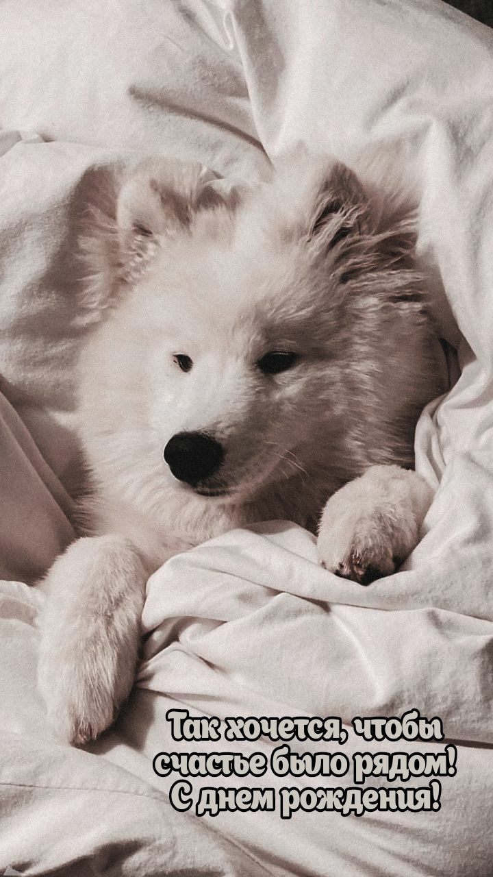 Так хочется, чтобы счастье было рядом! С днем рождения!