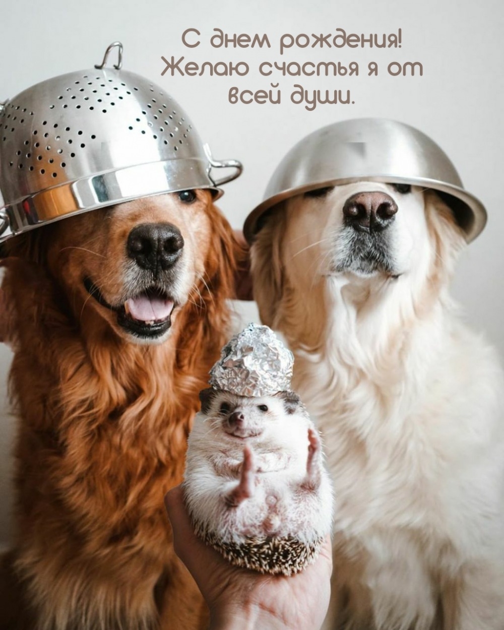 С днем рождения! Желаю счастья я от всей души.