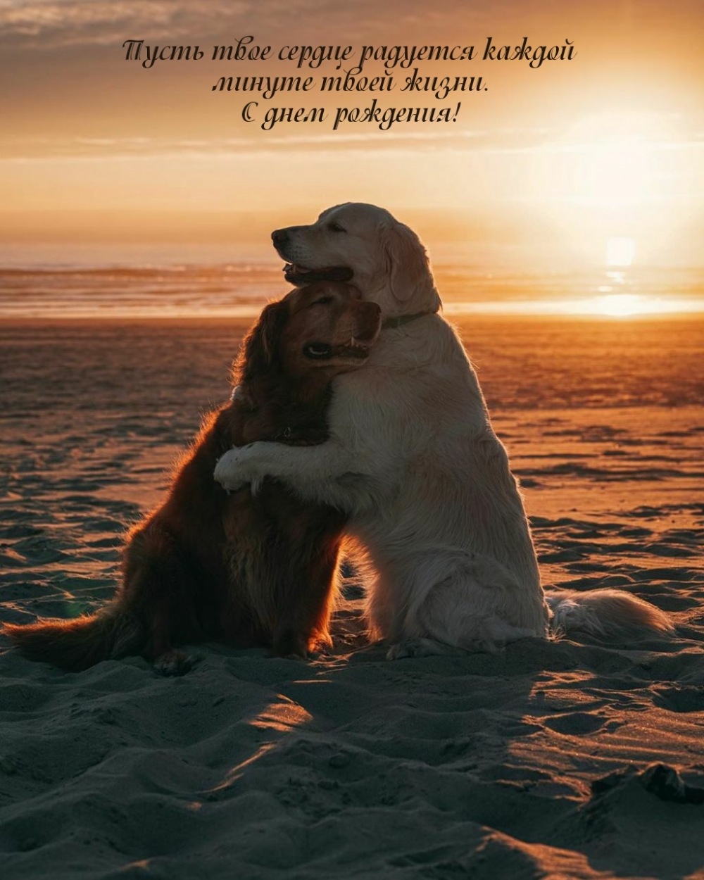 С днем рождения! Пусть твое сердце радуется каждой минуте 