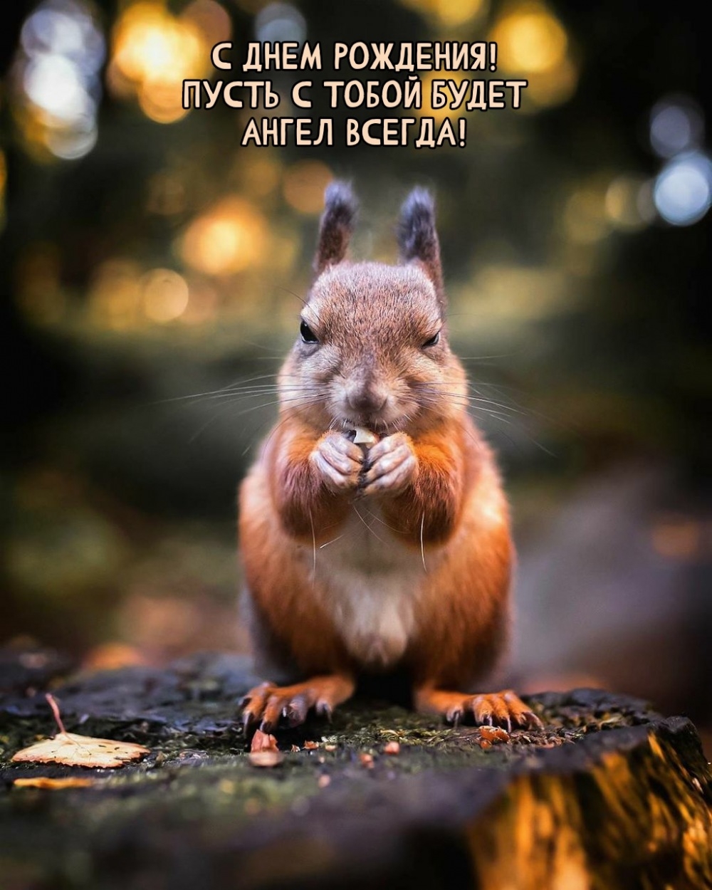 С днем рождения! Пусть с тобой будет ангел всегда!