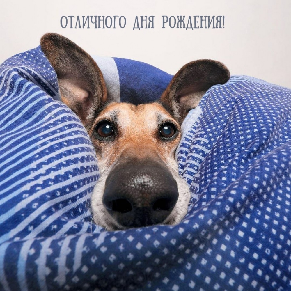 Отличного дня рождения! 