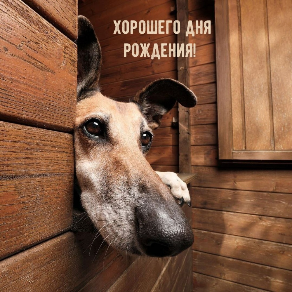 Хорошего дня рождения! 