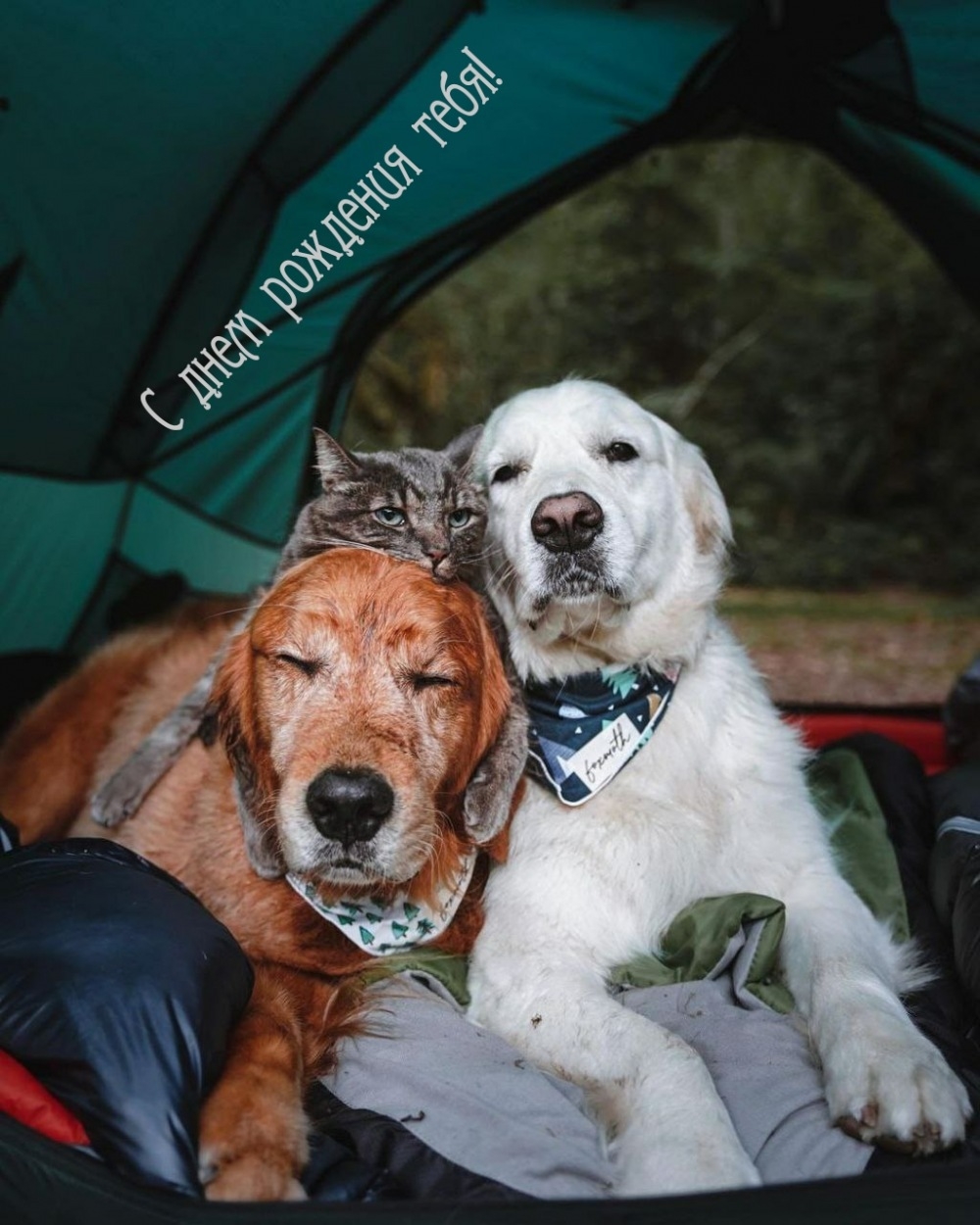 С днем рождения тебя!