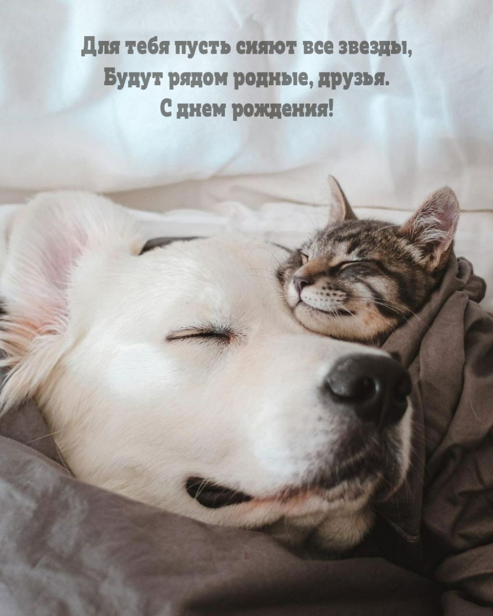 С днем рождения! Для тебя пусть сияют все звезды