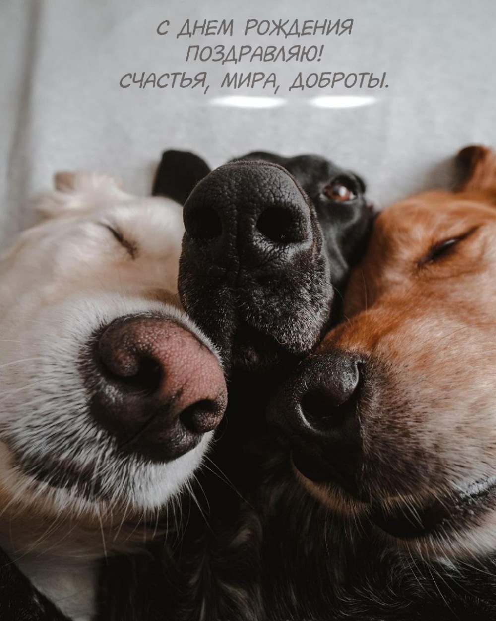 С днем рождения! Счастья, мира, доброты.
