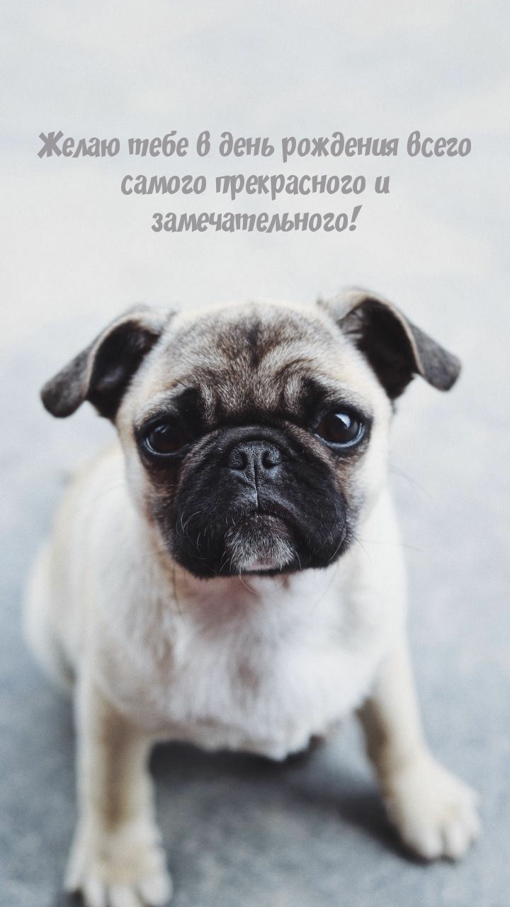 Желаю тебе в день рождения всего самого прекрасного