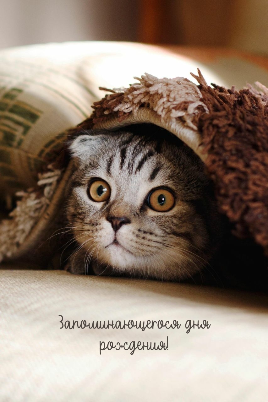 Запоминающегося дня рождения!