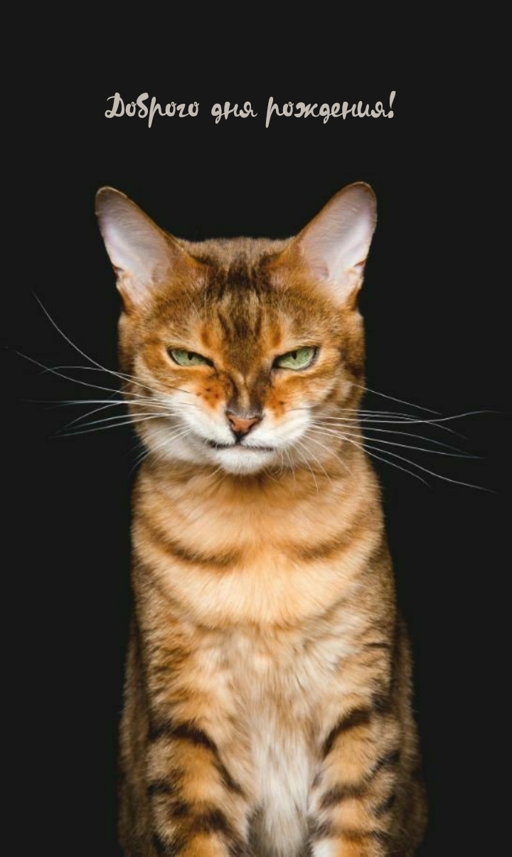 Доброго дня рождения! 