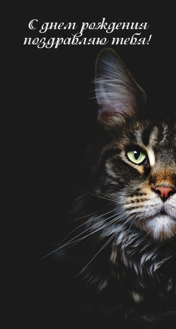 С днем рождения поздравляю тебя!