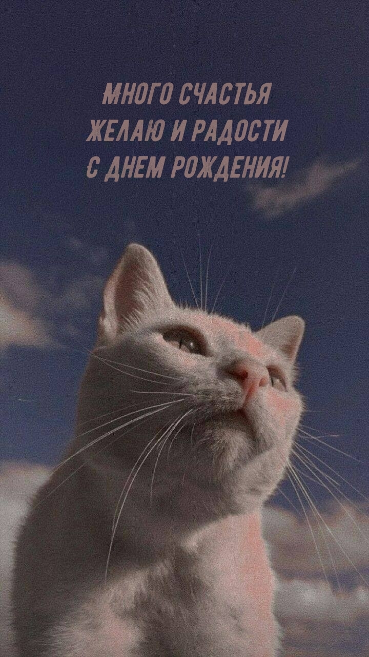 Много счастья желаю и радости С днем рождения!
