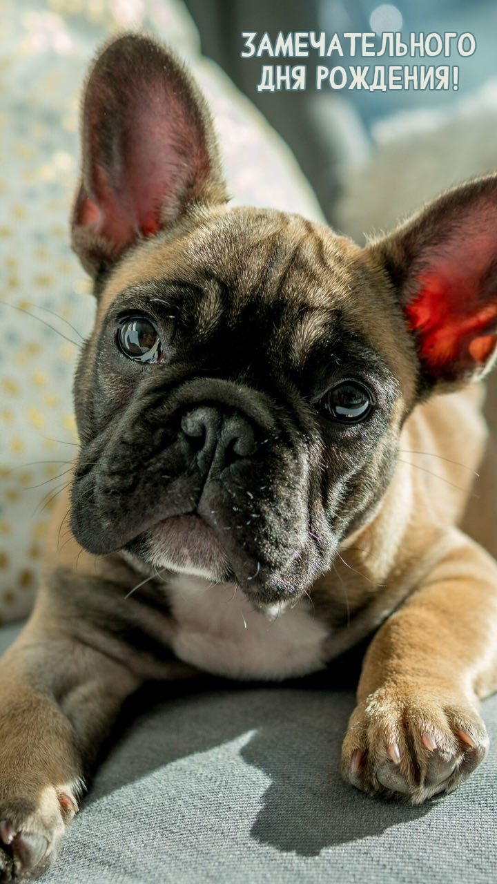 Замечательного дня рождения!