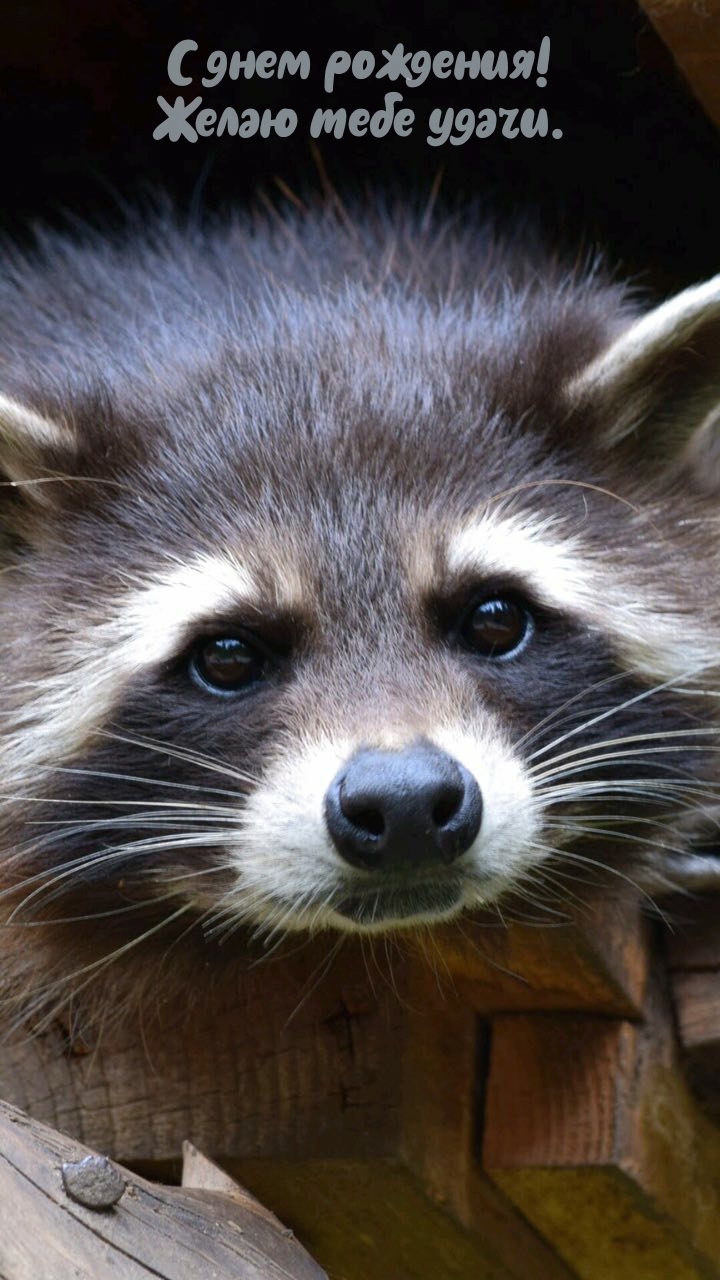 Всех благ тебе! С днем рождения!