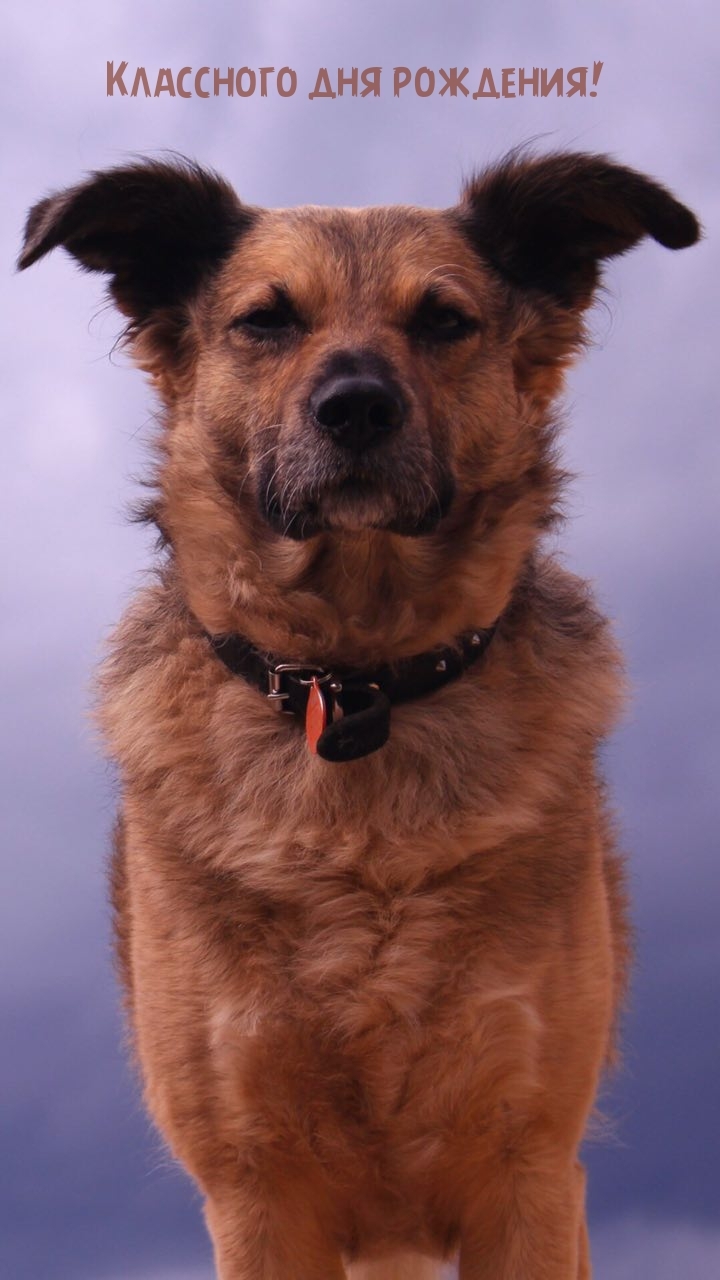 Классного дня рождения! 