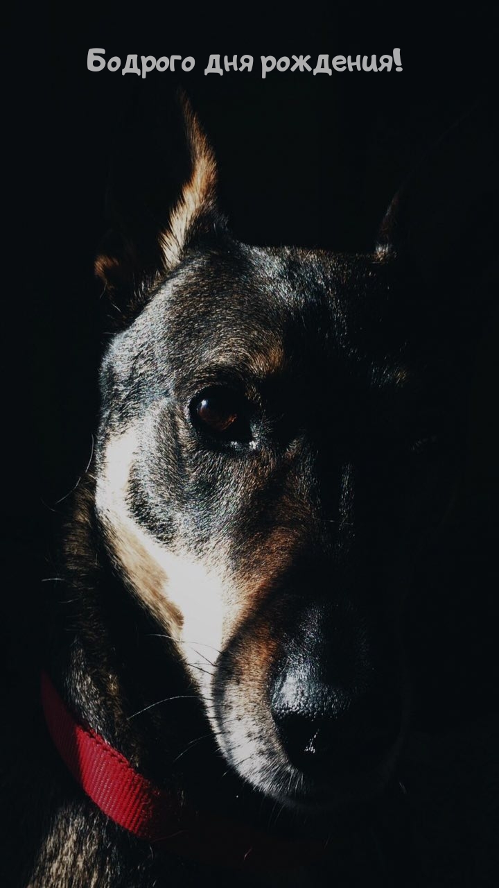 Удачного дня рождения!