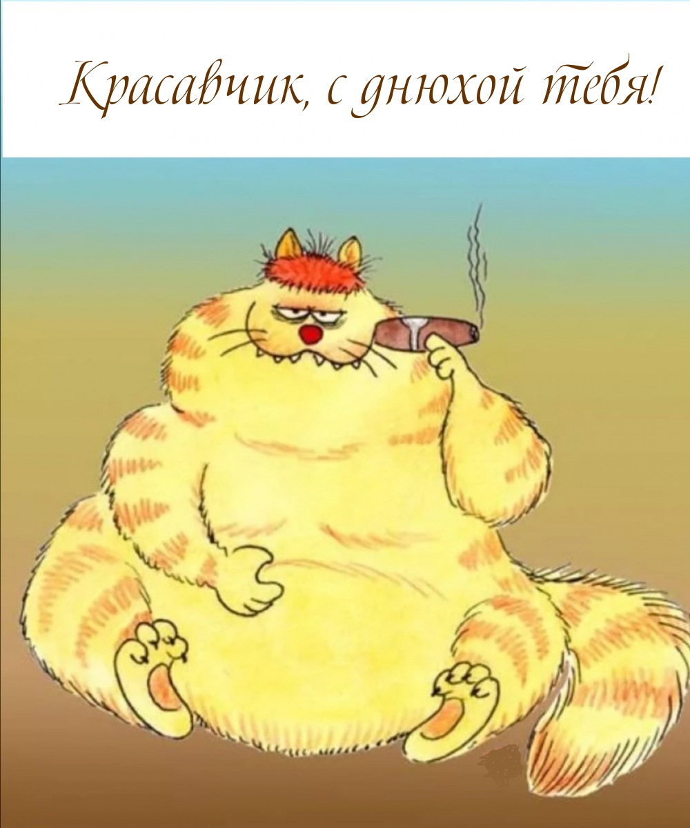 Красавчик, с днюхой тебя!