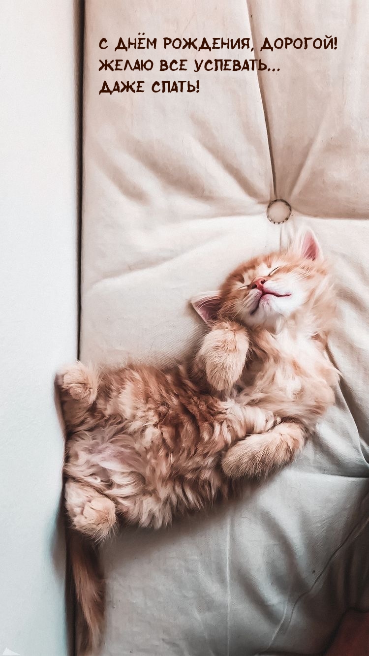 С днём рождения, дорогой! Желаю все успевать… Даже спать!