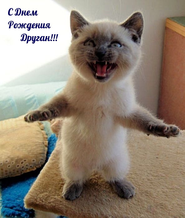 С Днем Рождения Друган!