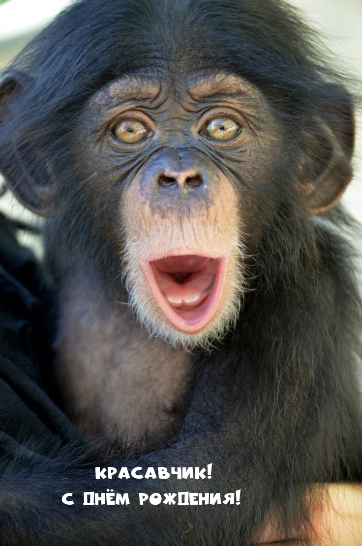 Красавчик! С Днём Рождения!