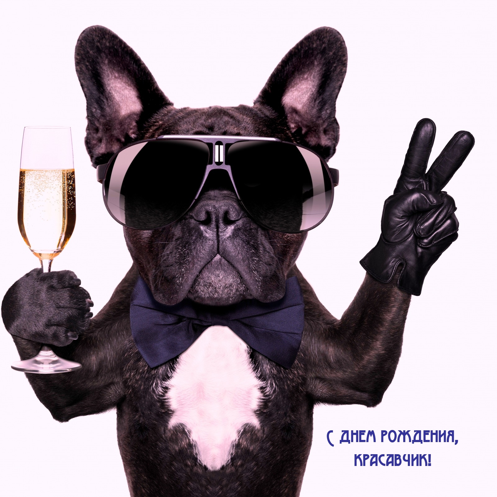 С днем рождения, красавчик!